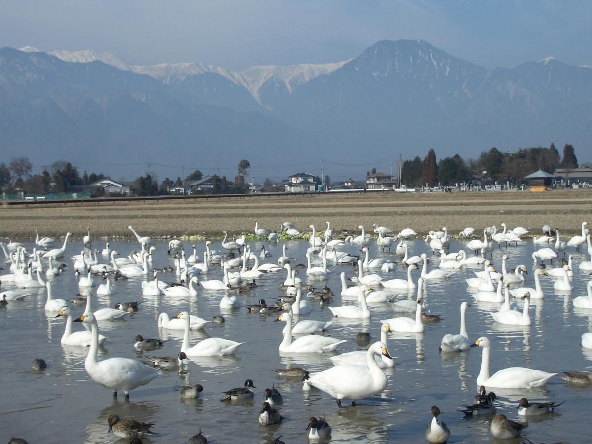 Canadian Loghouse Inn AzuminoYujin Bagian luar foto